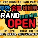 디코이덕