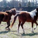 소유목장 이미지