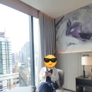 호텔칼튼 이미지