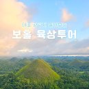 반딧불안경 | 보홀 육상투어 코스 반딧불투어 초콜릿힐 안경원숭이 후기