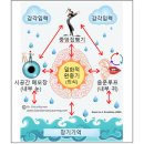 시공간 이미지