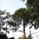 순성미술관 이미지