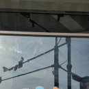 연호태권도장 이미지