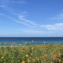 초시산장 이미지