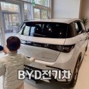 화이트돌핀 | 테슬라 긴장각! BYD 돌핀, 씨라이언7 실물 영접! 명지 스타필드시티 비야디 방문 후기