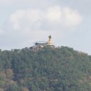 하일면보건지소 | 남파랑길 32코스 [고성] 부포사거리 ~ 임포항 (2021.11.13일)