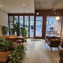 [서울/강남] 양재역 소개팅, 데이트 카페, 점심 단체모임 맛집 추천, '커피에스페란토' 내돈내산 후기