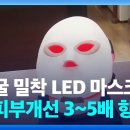 [일반] 피부 LED 마스크 이거 진짜용도는 피부용 아닐듯 이미지