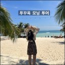 모닝비치 티스토리