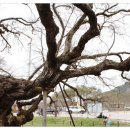 가나의료기 이미지