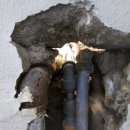 대포동-3 | 속초누수탐지.대포동 3층 상가 건물 누수 해결한 후기 남겨요.