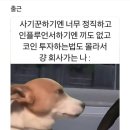 회사원 이미지