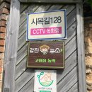 고향집 농박 이미지