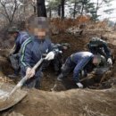 행정사김영원사무소 이미지