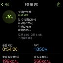 수영-305 이미지