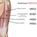 내셔널팀휘트니스 이미지