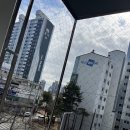 비둘기빌라 | 반짝클린 양산시 상가빌딩 비둘기퇴치 실제후기