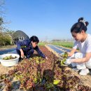 해돈농장 이미지