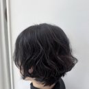 정동호뷰티힐