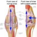 미사늘봄동물병원 이미지