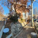 연서도서관 | 광명 어린이도서관 추천 광명 연서도서관