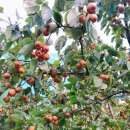 형국농장 이미지