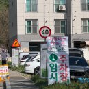 내년에도 방문 예정인 2026년 양평 산나물축제 주말 방문 후기