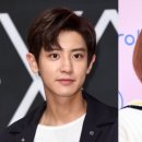 비타민투어 이미지