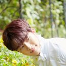 선호비디오 이미지