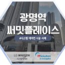 플레이스아이티주
