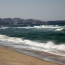 망상오토캠핑리조트 이미지