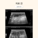 블리스 동물의료센터 이미지