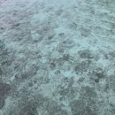 술깨자육개장 | 허니문) 몰디브 벨라사루 넷째날_워터빌라/셀프스냅/칠바노을/샌드/야광봉댄스