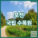 마당이수목원(느티나무동) | [포천 가볼만한곳] 비가 와도 맑아도 힐링되는 국립수목원(광릉수목원) 찐 후기 및 예약 팁!