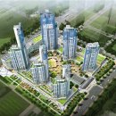 디엠보고 이미지