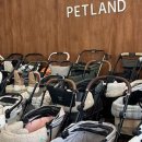 원미구 도약로 239 이미지