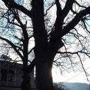 가정3리 이미지