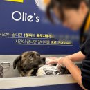 올리스 일산백석점 이미지