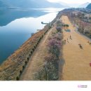 매화공원 이미지