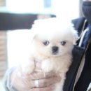 덩어리 이미지