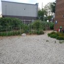 구미정통닭 이미지