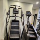 스테디 짐 이미지