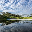 세종캐슬 이미지