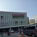 마두1주민센터정류장 | 서울 벚꽃 명소 추천 ㅣ 장안수변공원 트로트축제 방문 후기 (2026 최신)