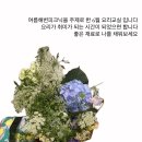 리버시즌스 이미지