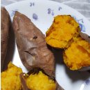 효정농장 이미지