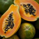 호텔하와이 이미지