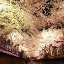 두동큐모텔 이미지