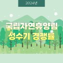 에코야영장 | [국립자연휴양림] 성수기 추첨결과 2024년 최고경쟁률은? 미결제분 추가 예약 방법