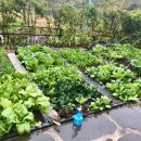 백통신원리조트 기린 이미지